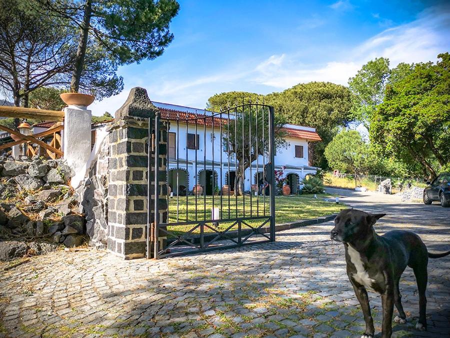 Hotel Sirio Boscotrecase Exterior foto